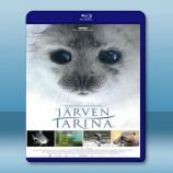  湖泊的傳說 Järven tarina/Tale of a Lake (2016) 藍光影片25G