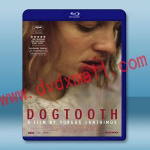  狗牙 Dogtooth / Kynodontas (2009) 藍光25G