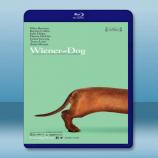  臘腸狗 Wiener-Dog [2016] 藍光25G