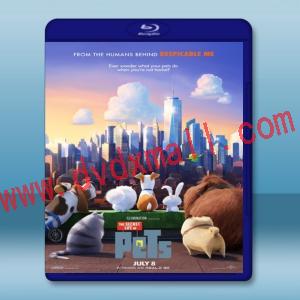  寵物當家 The Secret Life of Pets (2016) 藍光影片25G