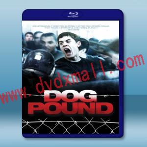  惡狗幫 Dog Pound [2010] 藍光影片25G