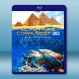 (3D+2D) 埃及海底珊瑚礁 探險之旅...
