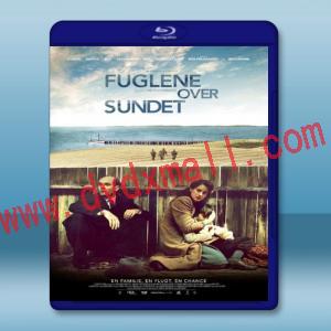  轟鳴中的鳥兒 Fuglene Over Sundet (2016) 藍光25G