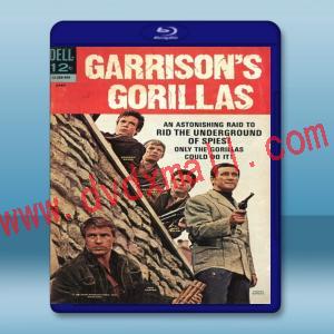  加里森敢死隊 Garrison's Gorillas (1967) 藍光25G