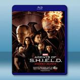  神盾局特工 Agents of Shield 第4季 (5碟) 藍光25G