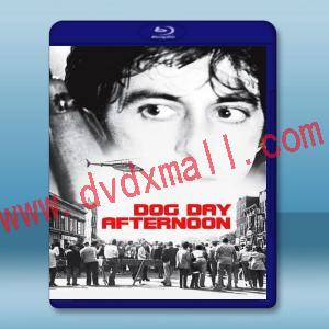  熱天午後 Dog Day Afternoon (1975) 藍光25G