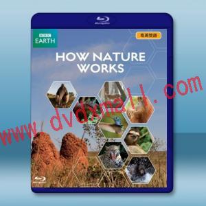  BBC 大自然法則/自然的運作 How Nature Works  藍光影片25G