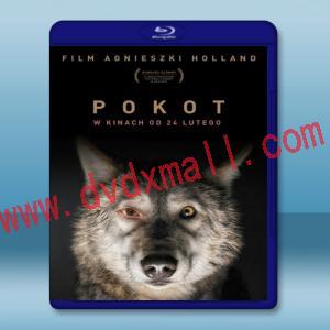  神秘獵殺 Pokot  (2017) 藍光25G