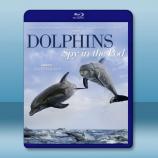  臥底海豚幫 Dolphins - Spy in the Pod (2014) 藍光影片25G