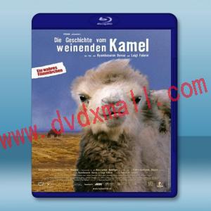  駱駝駱駝不要哭 The Story of the Weeping Camel [2003] 藍光25G