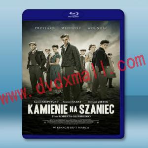  行動代號：血戰到底/堡壘堅石 Kamienie na szaniec (2014) 藍光25G