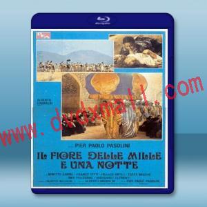  一千零一夜 Arabian Nights (1974) 藍光25G