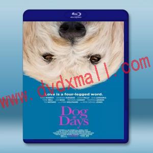  與狗狗一起生活 Dog Days (2018) 藍光25G