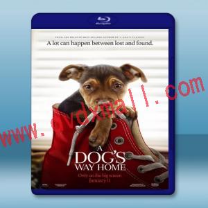  為了與你相聚 A Dog's Way Home [2019] 藍光25G