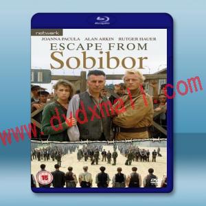  逃离索比堡 Escape from Sobibor (1987) 藍光25G