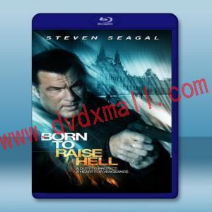  天罡星下凡 Born to Raise Hell (2010) 藍光25G