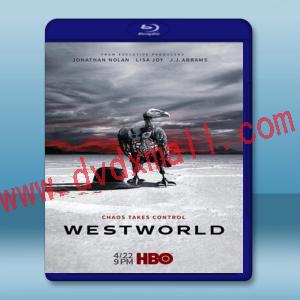  西方極樂園 Westworld 第2季 【3碟】 藍光25G