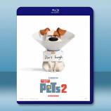  寵物當家2 The Secret Life of Pets 2 (2018) 藍光25G