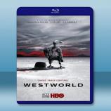  西方極樂園 Westworld 第2季 【3碟】 藍光25G