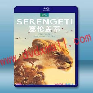  塞倫蓋蒂 Serengeti (2碟) 【2019】 藍光25G