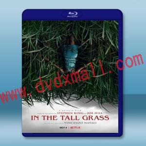  高草魅聲 In the Tall Grass (2019) 藍光25G