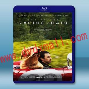  我在雨中等你 The Art of Racing in the Rain (2019) 藍光25G