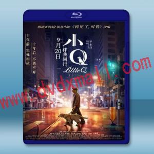  小Q (2019) 藍光25G