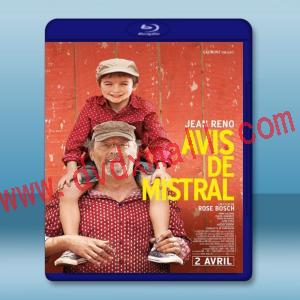  普羅旺斯的夏天 MY SUMMER IN PROVENCE/Avis de mistral 【2014】 藍光25G