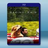  我在雨中等你 The Art of Racing in the Rain (2019) 藍光25G