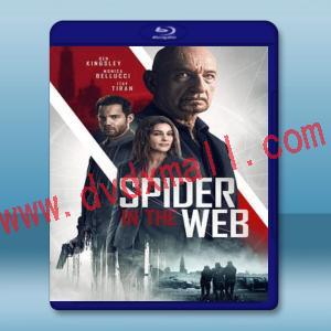  網中蜘蛛 Spider In The Web (2019) 藍光25G