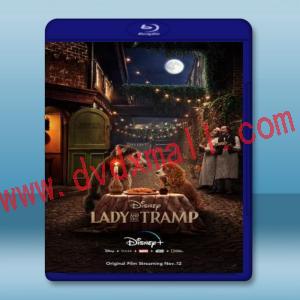  小姐與流氓 Lady and the Tramp (2019) 藍光25G