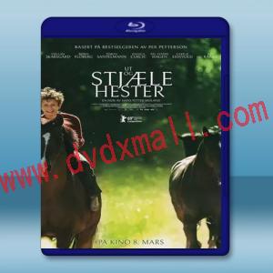  外出偷馬 Out Stealing Horses (2019) 藍光25G