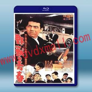  野獸的青春 <日> 【1963】 藍光25G
