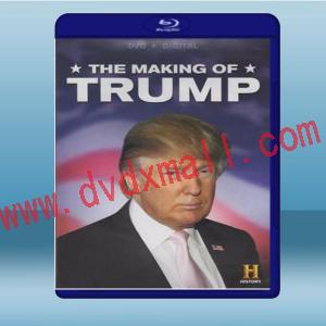  川普是怎樣煉成的 The Making of Trump (2015) 藍光影片25G