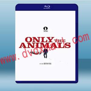  謎夜拼圖 Only The Animals (2019) 藍光25G