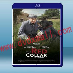  紅項圈 Le collier rouge (2018) 藍光25G