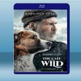  極地守護犬 The Call of the Wild (2020) 藍光影片25G