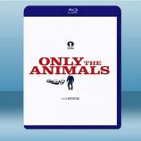  謎夜拼圖 Only The Animals (2019) 藍光25G