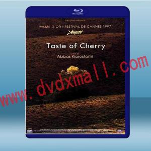  櫻桃的滋味 Taste of Cherry (1997) 藍光25G