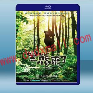  黑熊來了（2019) 藍光25G