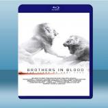  獅王之路 Brothers in Blood: The Lions of Sabi Sand (2015) 藍光25G