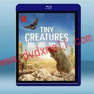  微觀世界 Tiny Creatures (2碟) (2020) 藍光25G