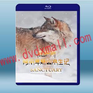  庇護所：阿爾卑斯山求生記 The Sanctuary: Survival Stories of the Alps (2020) 藍光25G