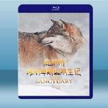  庇護所：阿爾卑斯山求生記 The Sanctuary: Survival Stories of the Alps (2020) 藍光25G