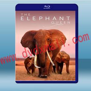  大象女王 The Elephant Queen (2018) 藍光25G