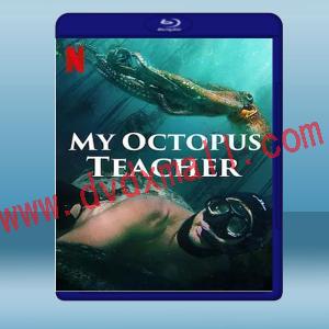  我的章魚老師 My Octopus Teacher (2020) 藍光25G