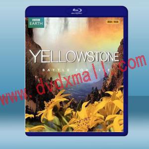  黃石公園 Yellowstone (2009) 藍光25G