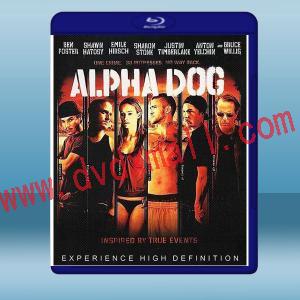  布魯斯威利之終極黑幫 Alpha Dog (2006) 藍光25G