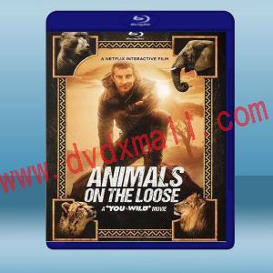  你的荒野求生電影版：出逃的野獸 Animals on the Loose: A You vs. Wild Movie (2021) 藍光25G