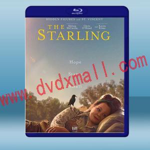  八哥 The Starling (2021) 藍光25G